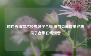 脱口秀傅首尔经典段子合集,脱口秀傅首尔经典段子合集在线观看