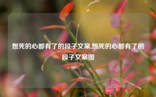 想死的心都有了的段子文案,想死的心都有了的段子文案图