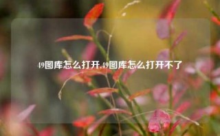 49图库怎么打开,49图库怎么打开不了