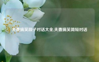 夫妻搞笑段子对话大全,夫妻搞笑简短对话