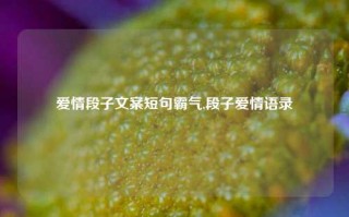 爱情段子文案短句霸气,段子爱情语录