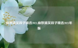 幽默搞笑段子精选2021,幽默搞笑段子精选2021年版