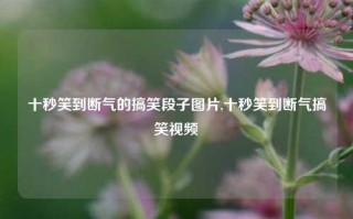 十秒笑到断气的搞笑段子图片,十秒笑到断气搞笑视频