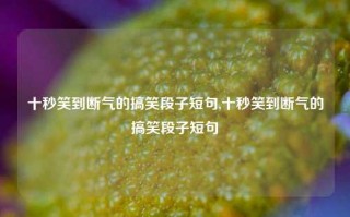 十秒笑到断气的搞笑段子短句,十秒笑到断气的搞笑段子短句