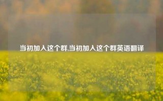 当初加入这个群,当初加入这个群英语翻译