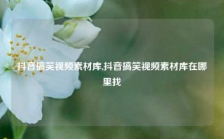 抖音搞笑视频素材库,抖音搞笑视频素材库在哪里找