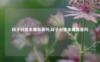 段子羽是金庸原著吗,段子羽是金庸原著吗