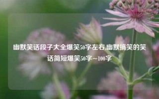 幽默笑话段子大全爆笑50字左右,幽默搞笑的笑话简短爆笑50字~100字