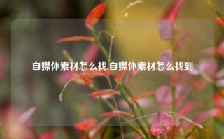 自媒体素材怎么找,自媒体素材怎么找到