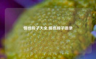 情感段子大全,情感段子语录