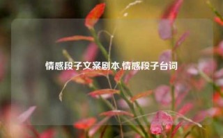 情感段子文案剧本,情感段子台词