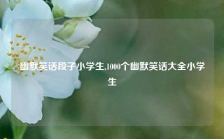 幽默笑话段子小学生,1000个幽默笑话大全小学生