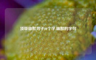 顶级幽默句子10个字,幽默的字句