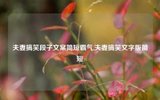 夫妻搞笑段子文案简短霸气,夫妻搞笑文字版简短