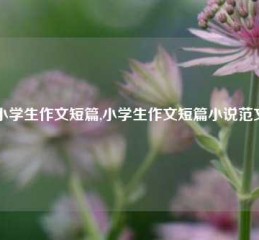 小学生作文短篇,小学生作文短篇小说范文