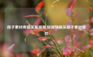 段子素材库搞笑版视频,短视频搞笑段子素材软件