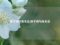 段子羽对张无忌,段子羽与张无忌