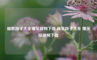 幽默段子大全爆笑视频下载,搞笑段子大全 爆笑短视频下载