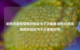 幽默风趣高情商的俏皮句子正能量,幽默风趣高情商的俏皮句子正能量短句