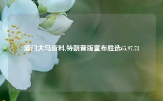 澳门大马资料,特朗普版宣布胜选65.97.73