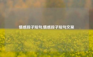 情感段子短句,情感段子短句文案