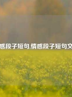 情感段子短句,情感段子短句文案