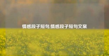 情感段子短句,情感段子短句文案