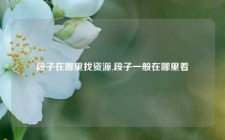 段子在哪里找资源,段子一般在哪里看