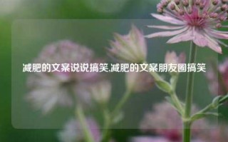 减肥的文案说说搞笑,减肥的文案朋友圈搞笑