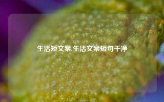 生活短文案,生活文案短句干净