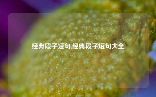 经典段子短句,经典段子短句大全