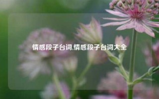 情感段子台词,情感段子台词大全