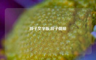 段子文字版,段子简短