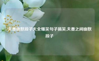 夫妻幽默段子大全爆笑句子搞笑,夫妻之间幽默段子