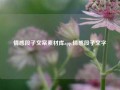 情感段子文案素材库app,情感段子文字