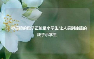 一秒笑喷的段子正能量小学生,让人笑到抽搐的段子小学生