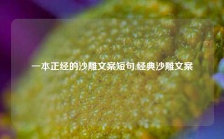 一本正经的沙雕文案短句,经典沙雕文案