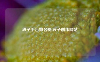 段子平台排名榜,段子创作网站