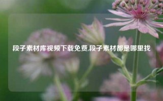 段子素材库视频下载免费,段子素材都是哪里找