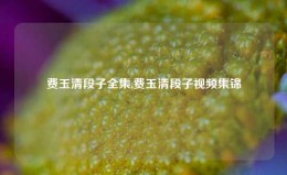 费玉清段子全集,费玉清段子视频集锦