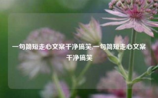 一句简短走心文案干净搞笑,一句简短走心文案干净搞笑