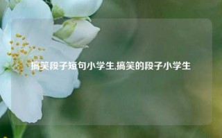 搞笑段子短句小学生,搞笑的段子小学生