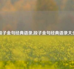 段子金句经典语录,段子金句经典语录大全