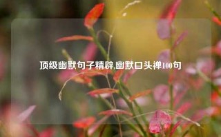 顶级幽默句子精辟,幽默口头禅100句