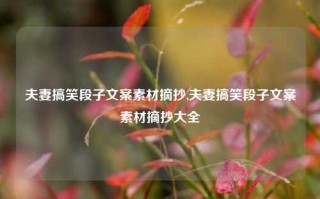 夫妻搞笑段子文案素材摘抄,夫妻搞笑段子文案素材摘抄大全