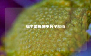 搞笑幽默段子
大全简短,搞笑段子标语