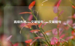 高级伤感emo文案短句,emo文案短句