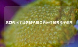 脱口秀100个经典段子,脱口秀100个经典段子视频