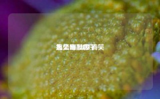 搞笑幽默段子
大全集,幽默搞笑
怎么写