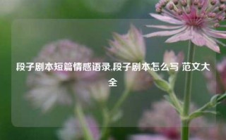 段子剧本短篇情感语录,段子剧本怎么写 范文大全